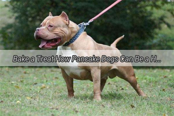 Bake a Treat How Pancake Dogs Can Be a Healthy Snack for Your Pooch